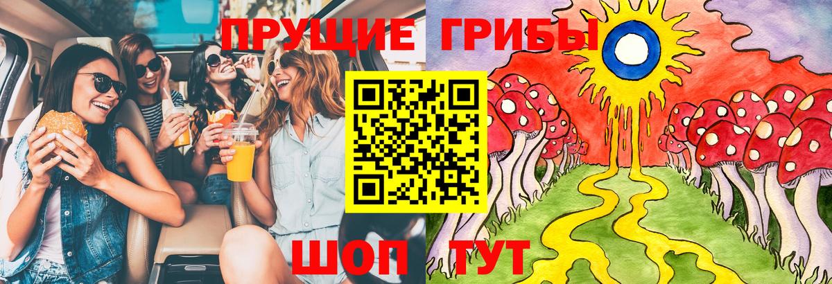 Псилоцибиновые грибы Psilocybe Ликино-Дулёво